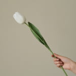 52cm Real-Touch Debby Tulip Stem