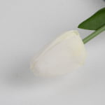 45cm Real-Touch Debby Tulip Stem