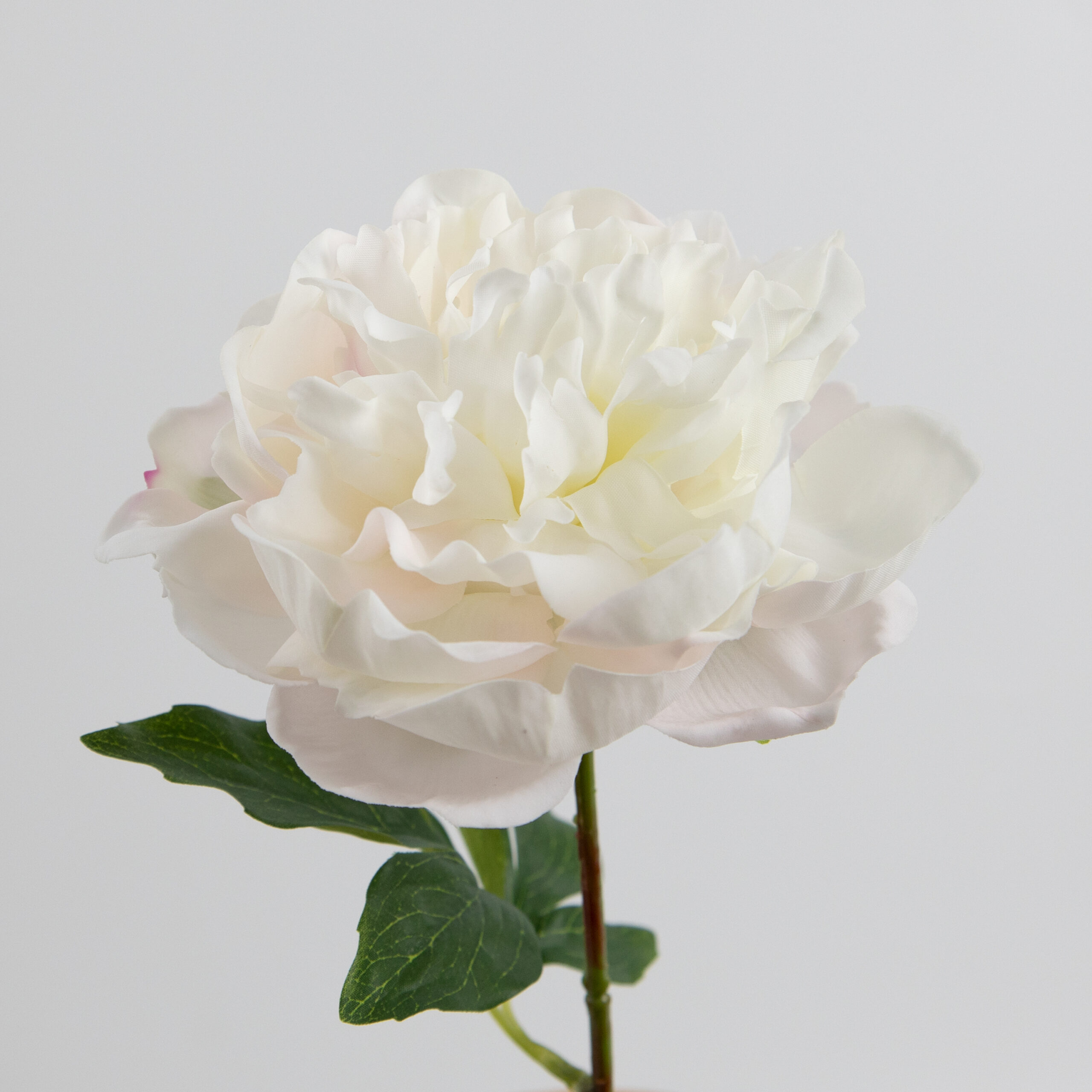 60cm Real-Touch Lydia Peony Stem