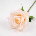 48cm Real-Touch Cynthia Rose Stem