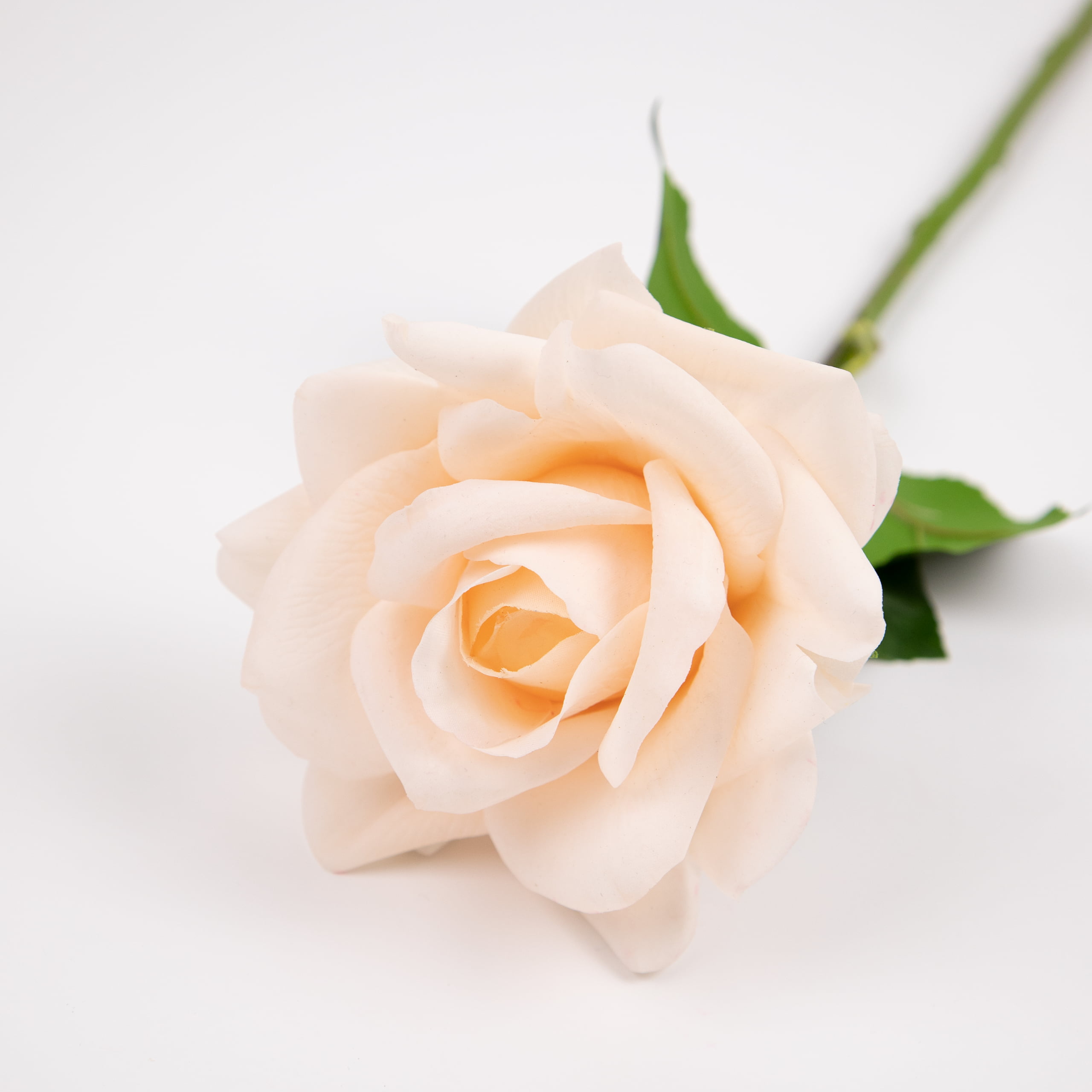 48cm Real-Touch Cynthia Rose Stem