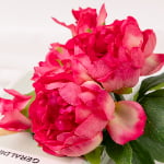 30cm Real-Touch 5 Heads Lydia Peony Bundle