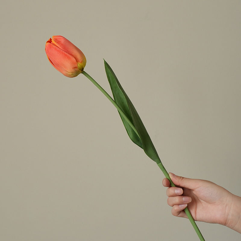 52cm Real-Touch Debby Tulip Stem
