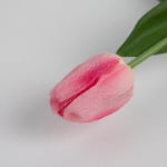 45cm Real-Touch Debby Tulip Stem