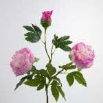 80cm Real-Touch 3 Heads Lydia Peony Spray