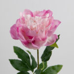 60cm Real-Touch Lydia Peony Stem