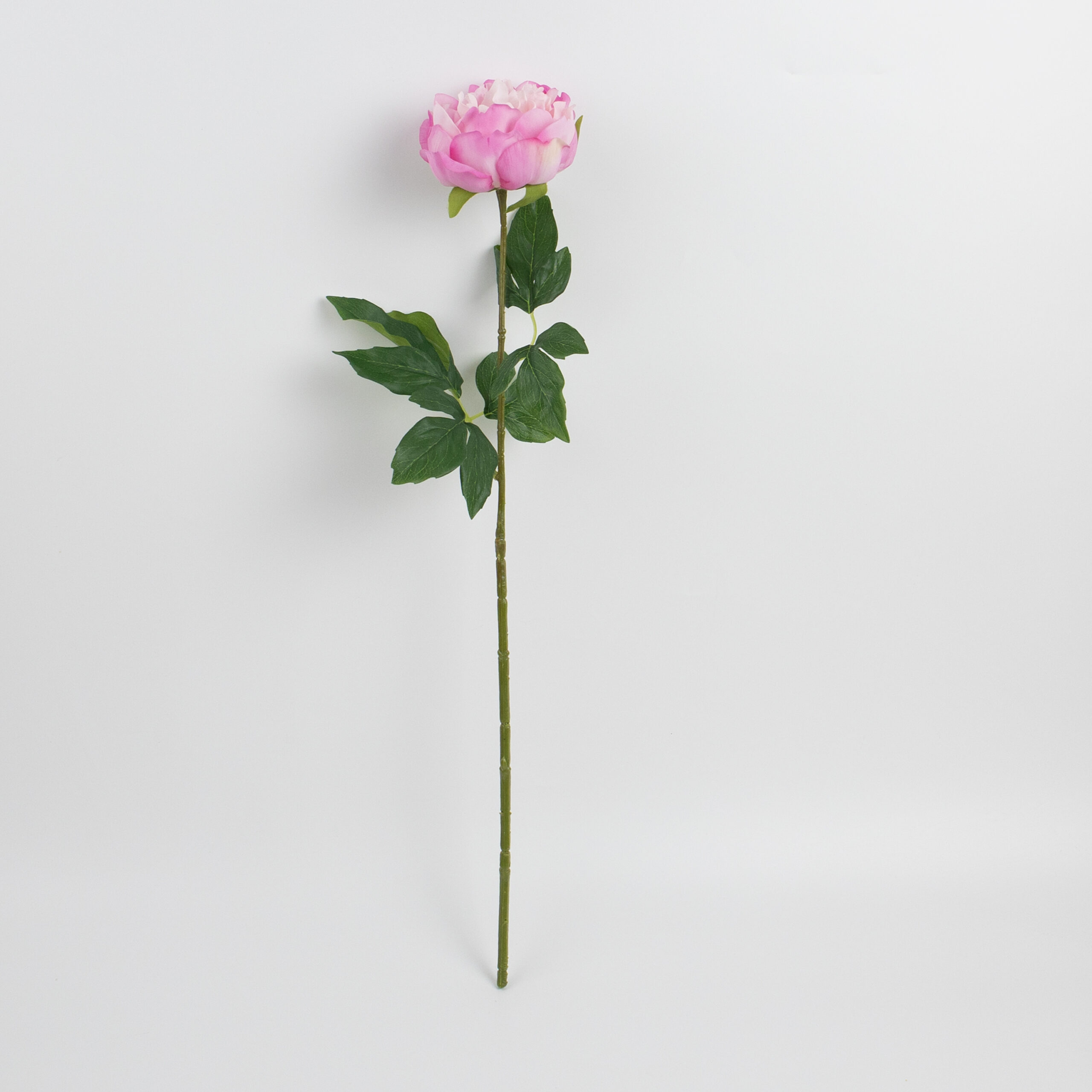 60cm Real-Touch Lydia Peony Stem