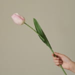 52cm Real-Touch Debby Tulip Stem