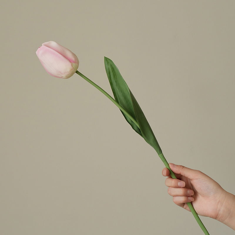 52cm Real-Touch Debby Tulip Stem