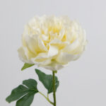 60cm Real-Touch Lydia Peony Stem