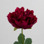 60cm Real-Touch Lydia Peony Stem