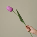 52cm Real-Touch Debby Tulip Stem