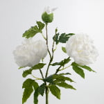 80cm Real-Touch 3 Heads Lydia Peony Spray