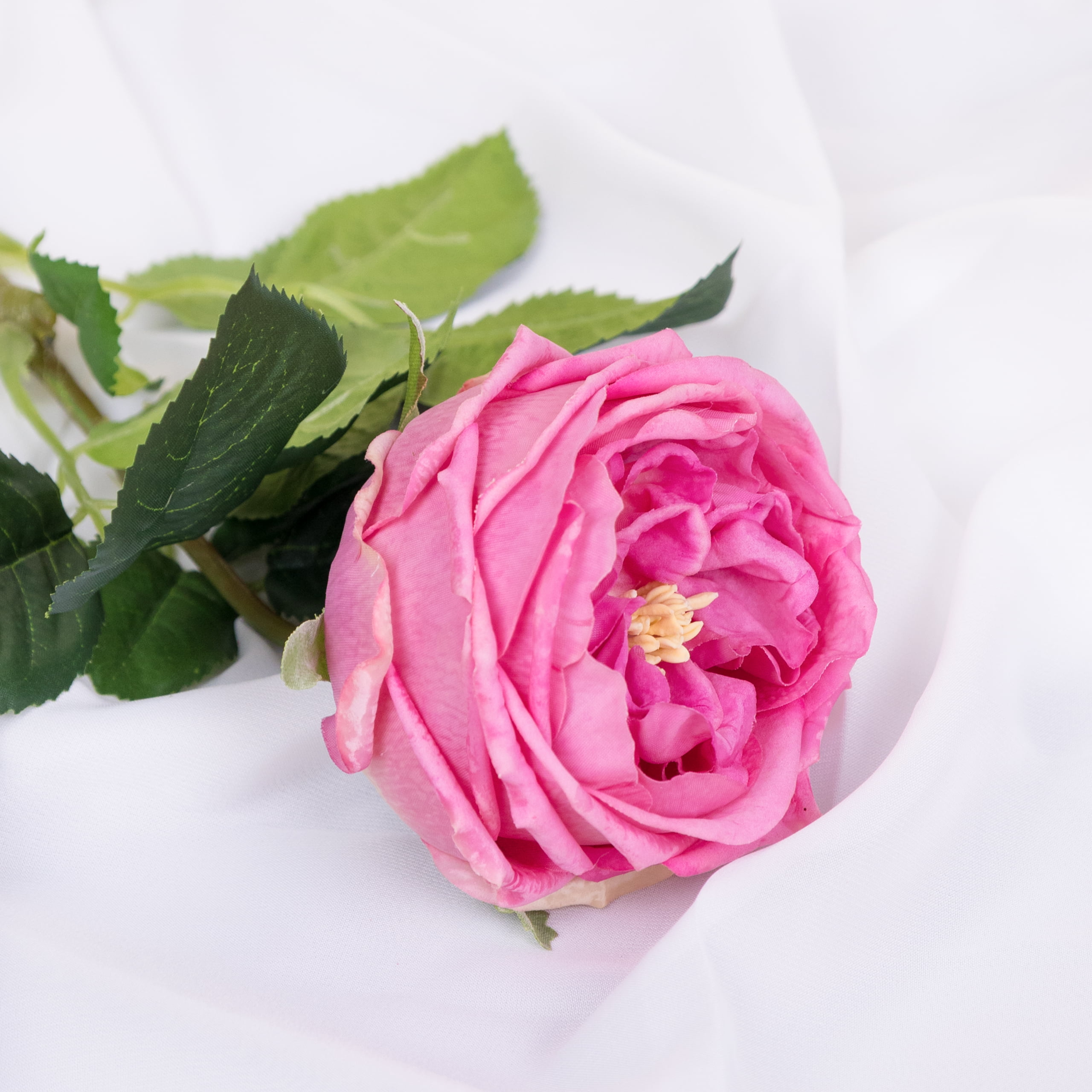 60cm Real-Touch Austin Rose Stem