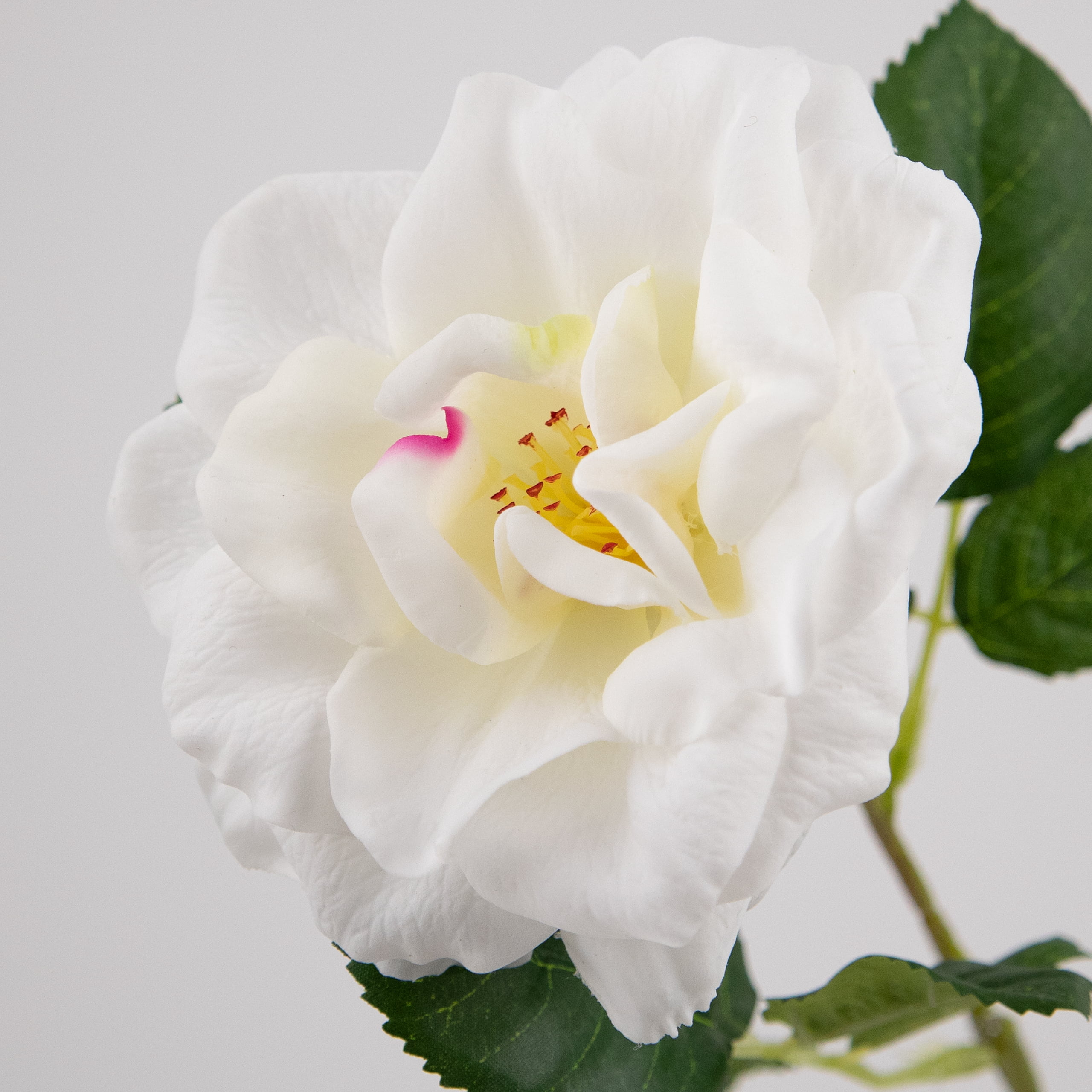 58cm Real-Touch Jasmine Rose Stem