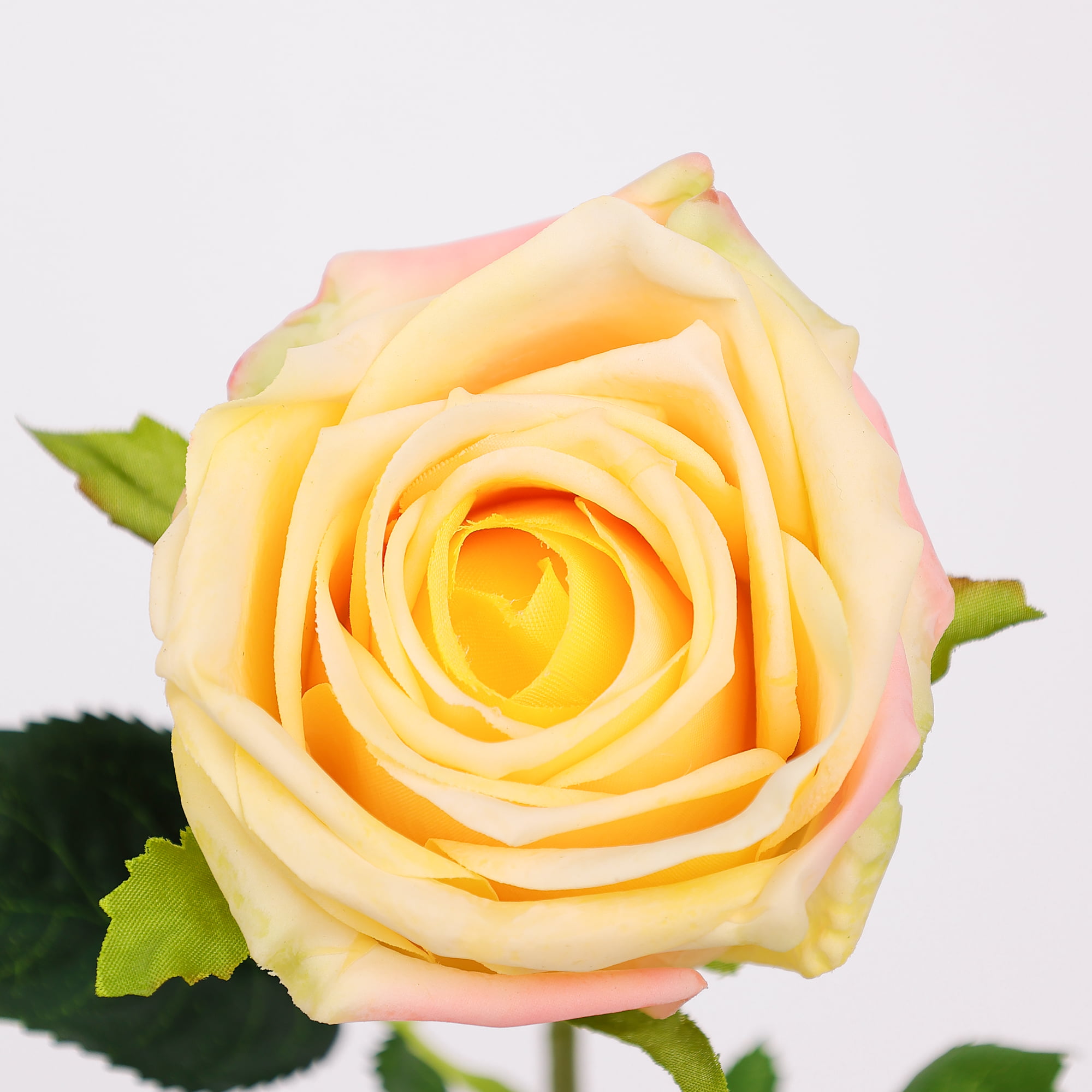 43cm Real-Touch Barbara Rose Stem