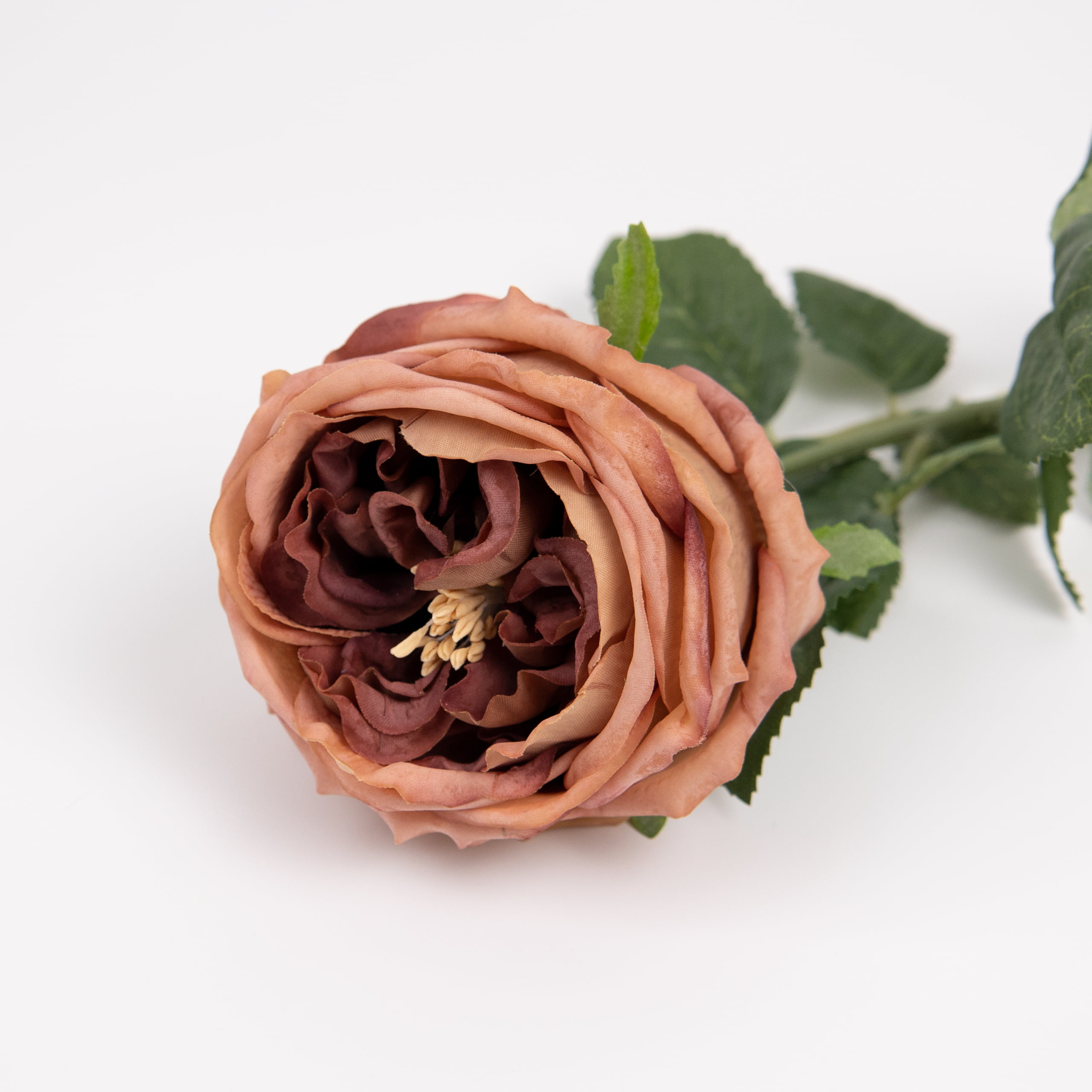 60cm Real-Touch Austin Rose Stem