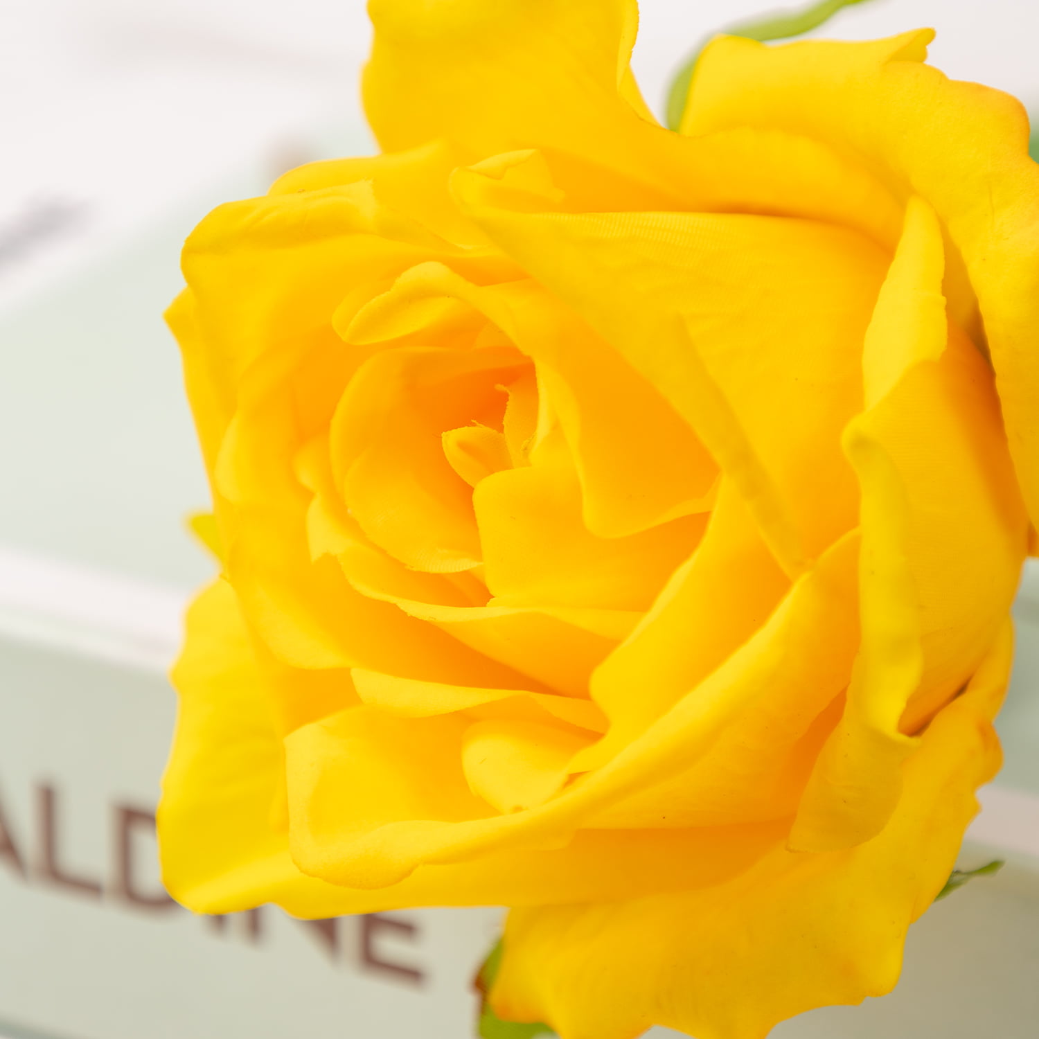 72cm Real-Touch Bonnie Rose Stem