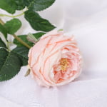 60cm Real-Touch Austin Rose Stem