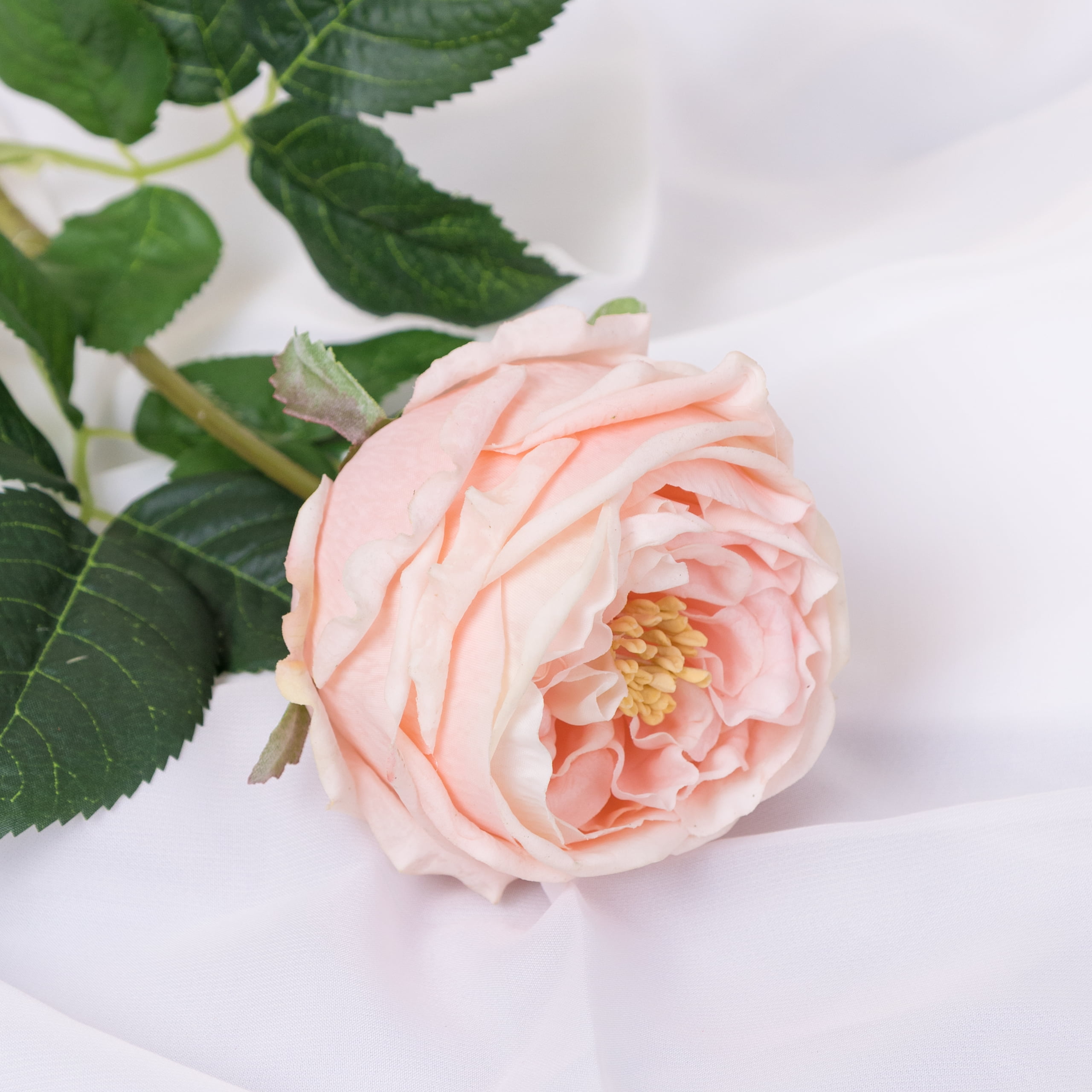 60cm Real-Touch Austin Rose Stem