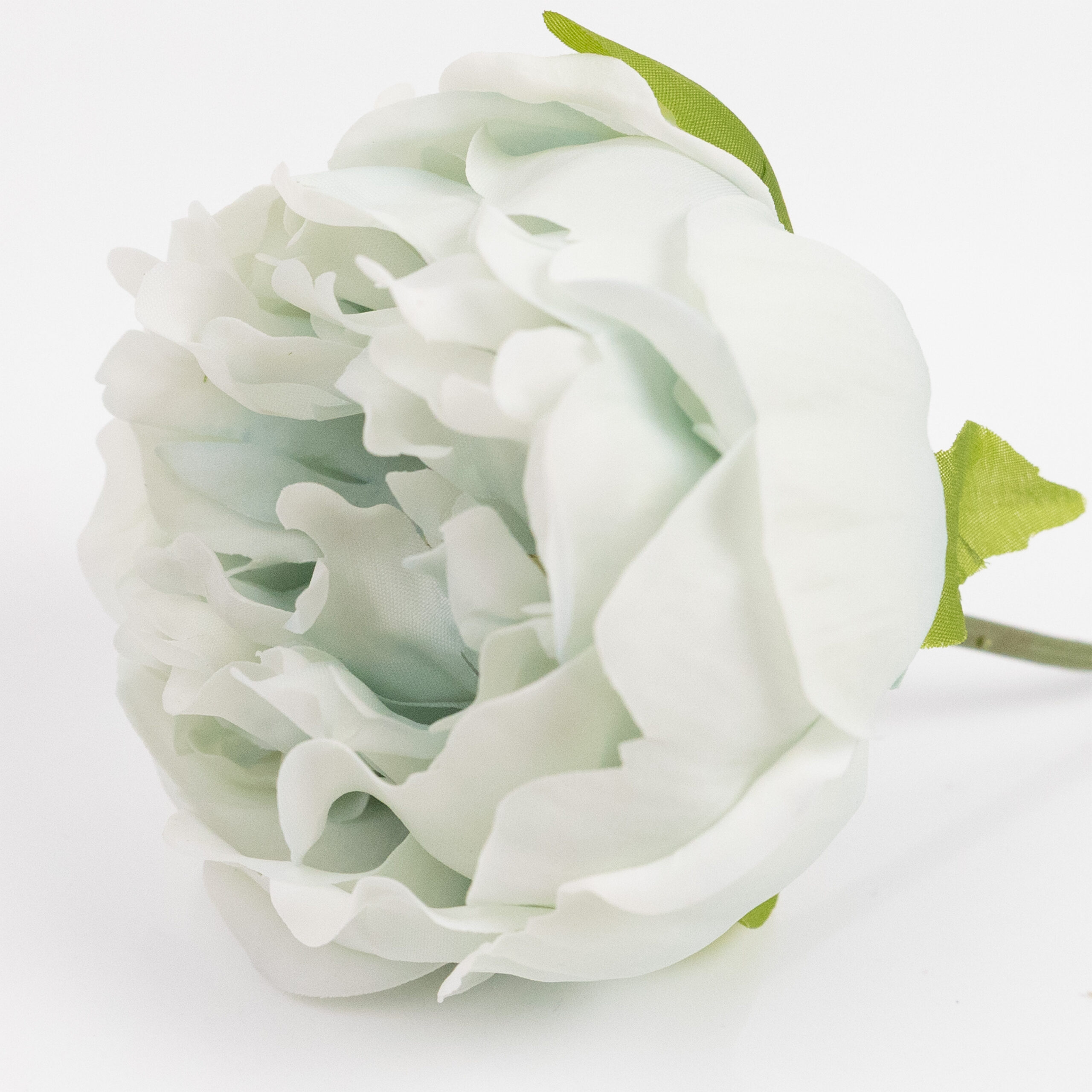 60cm Real-Touch Lydia Peony Stem
