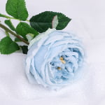 60cm Real-Touch Austin Rose Stem