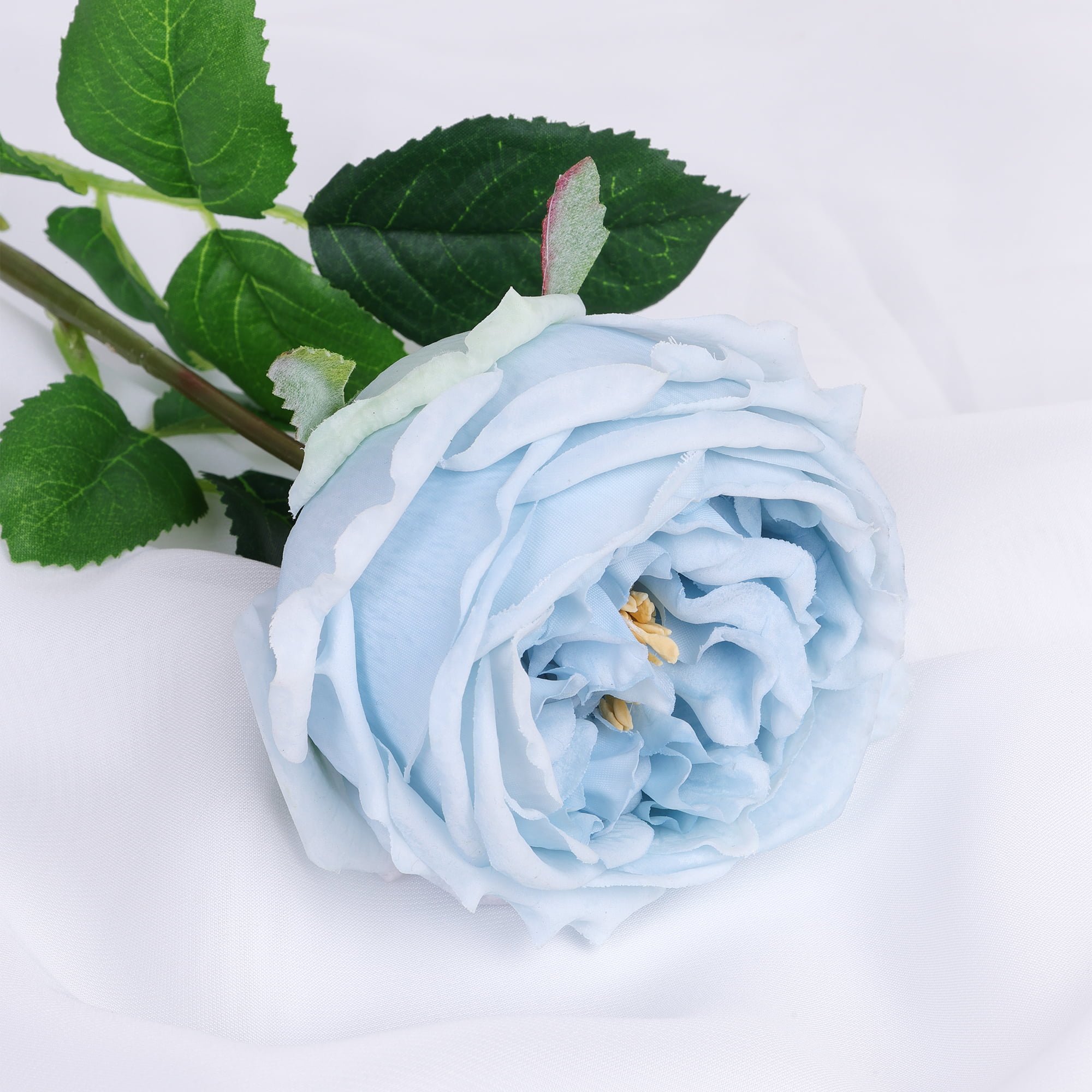 60cm Real-Touch Austin Rose Stem