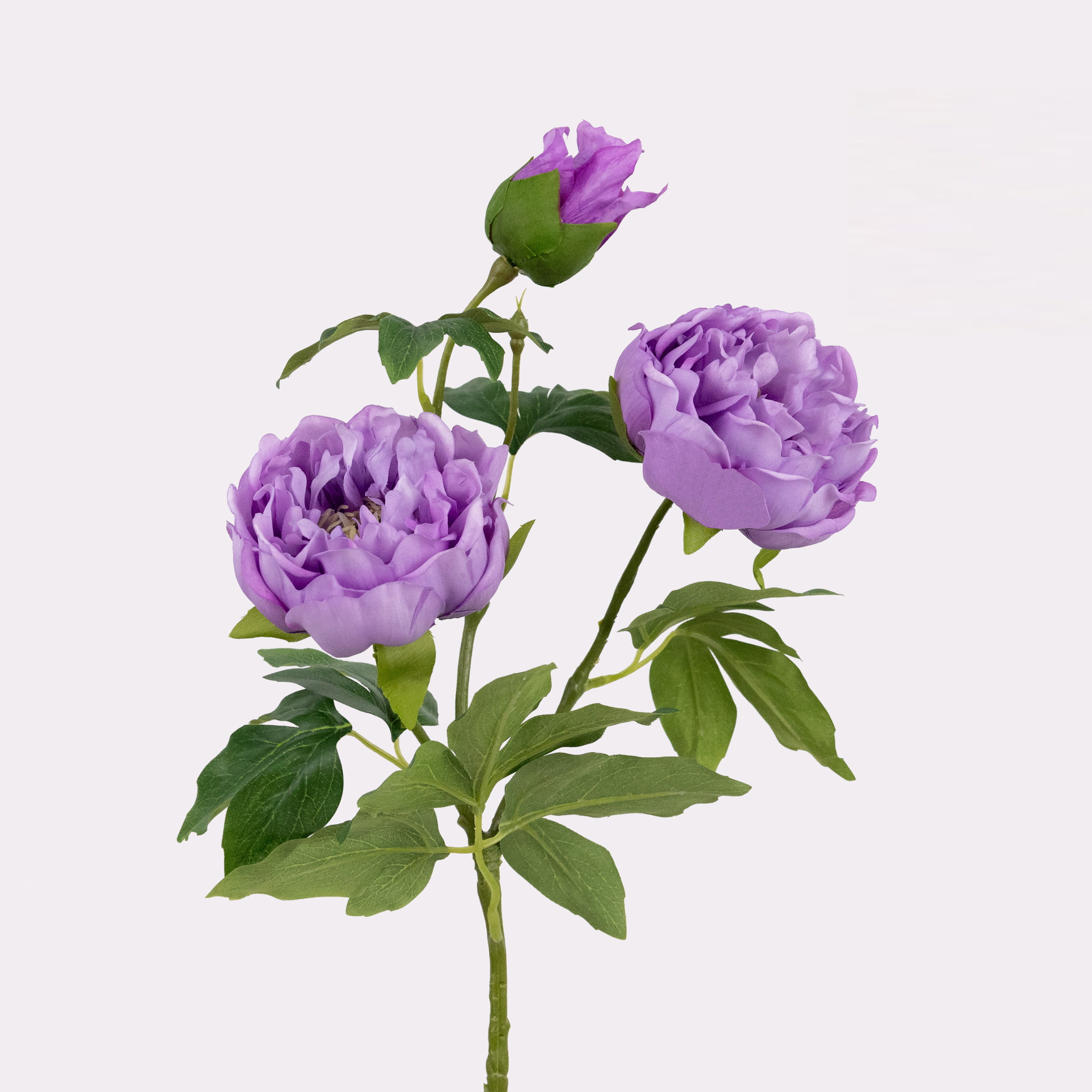 80cm Real-Touch 3 Heads Lydia Peony Spray
