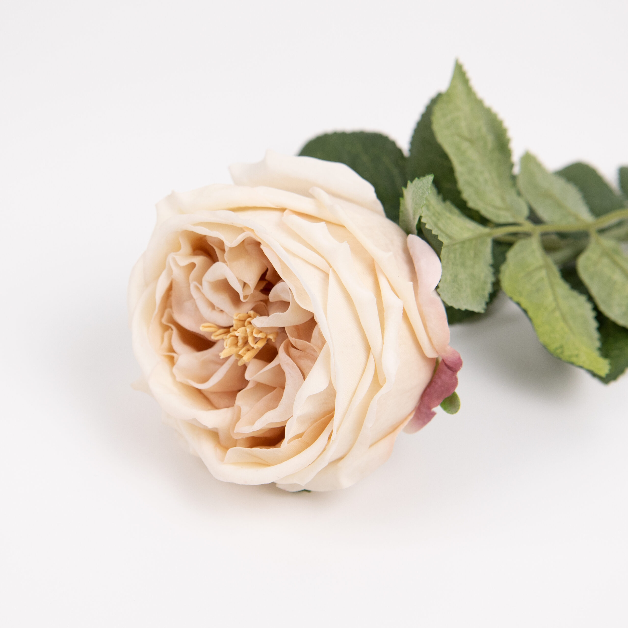 60cm Real-Touch Austin Rose Stem