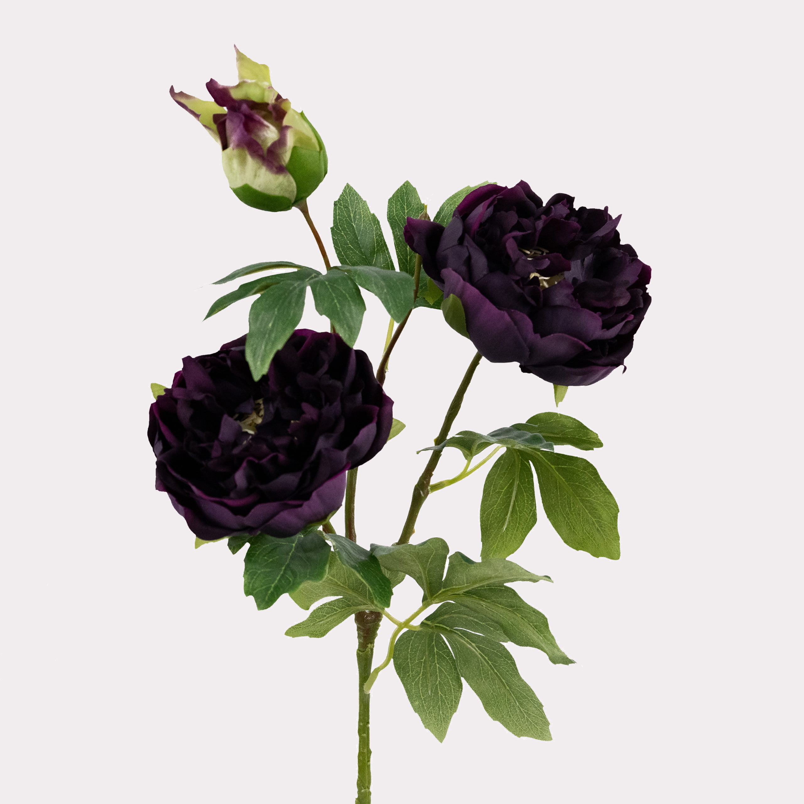 80cm Real-Touch 3 Heads Lydia Peony Spray