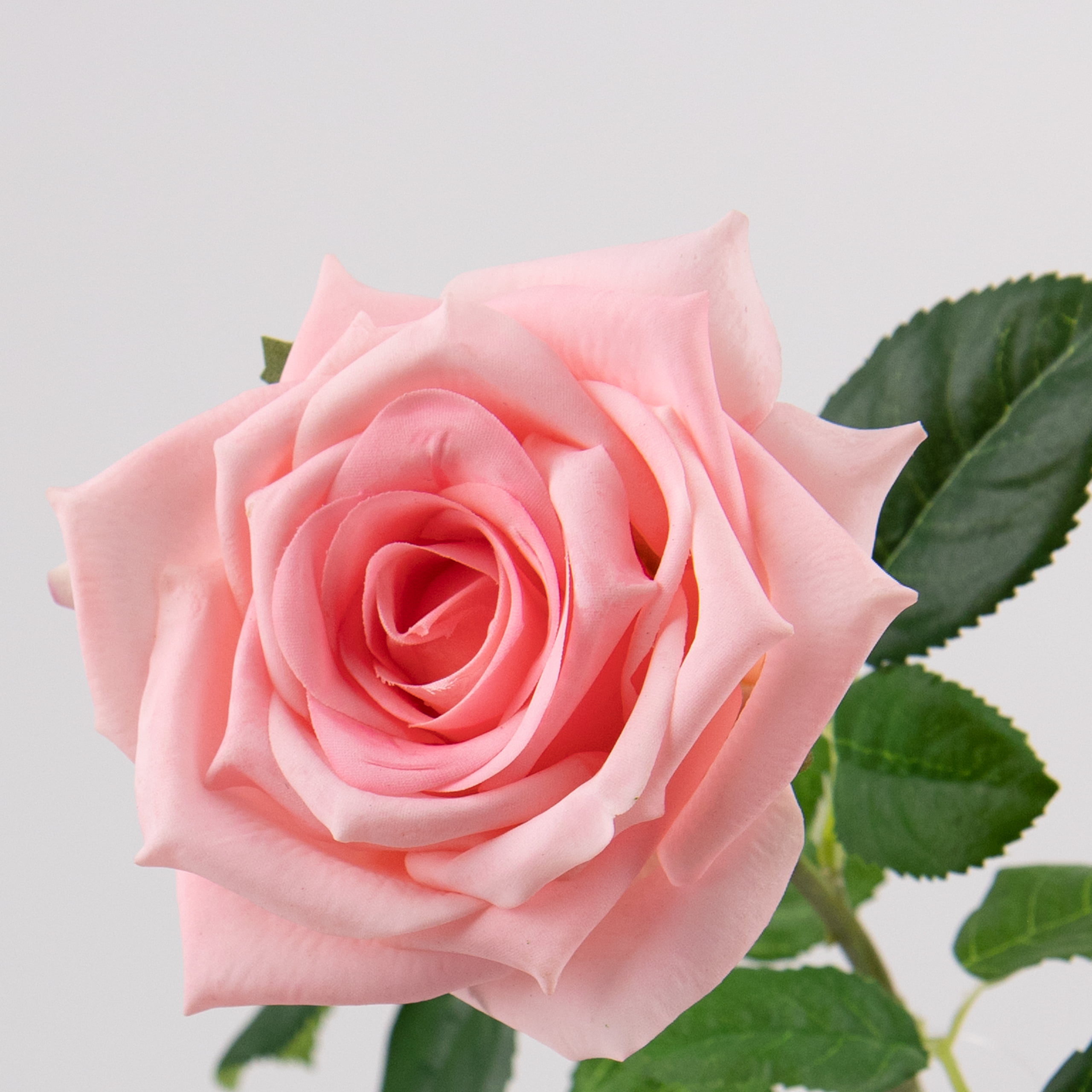 72cm Real-Touch Sandy Rose Stem