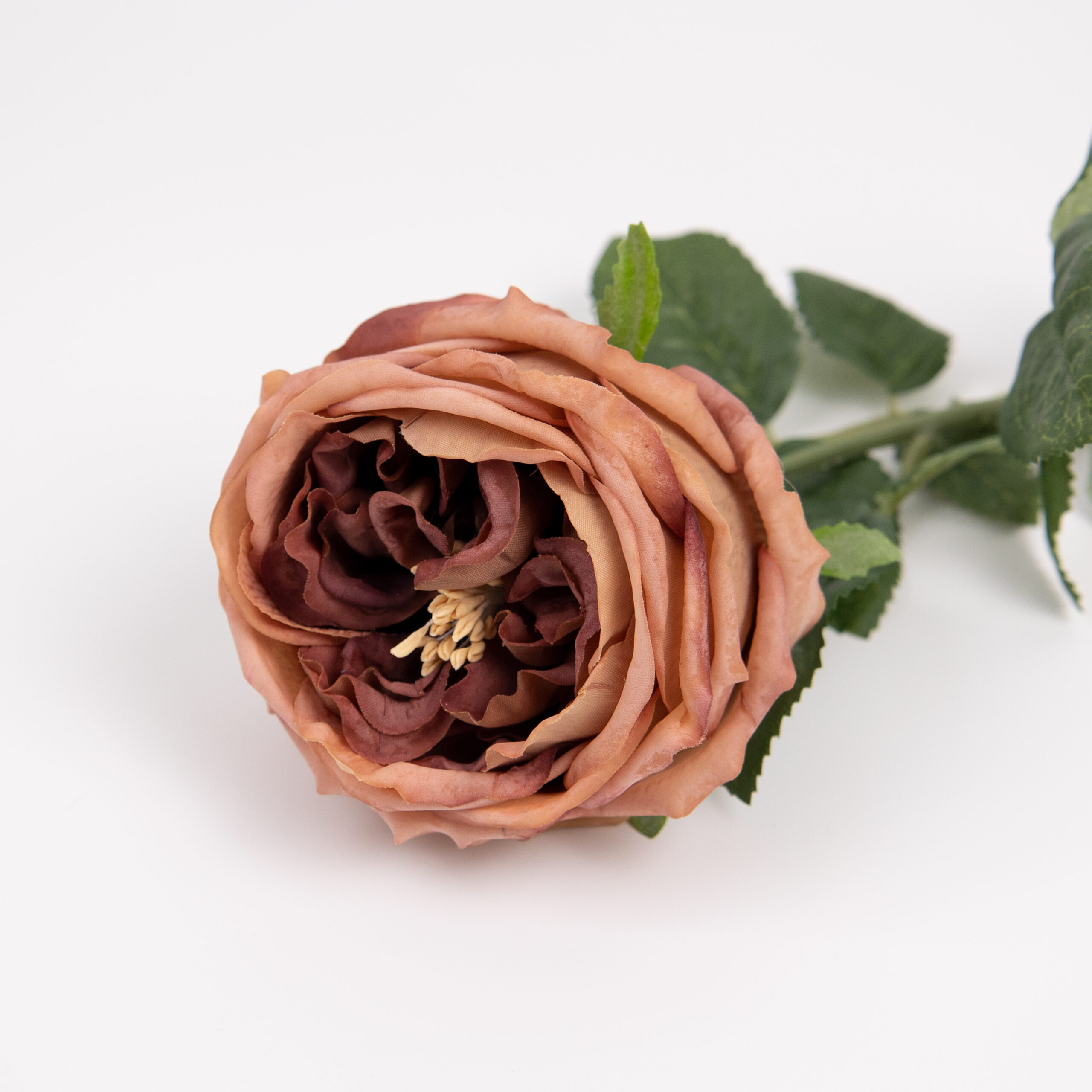 60cm Real-Touch Austin Rose Stem