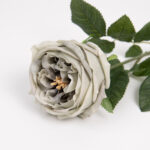 60cm Real-Touch Austin Rose Stem