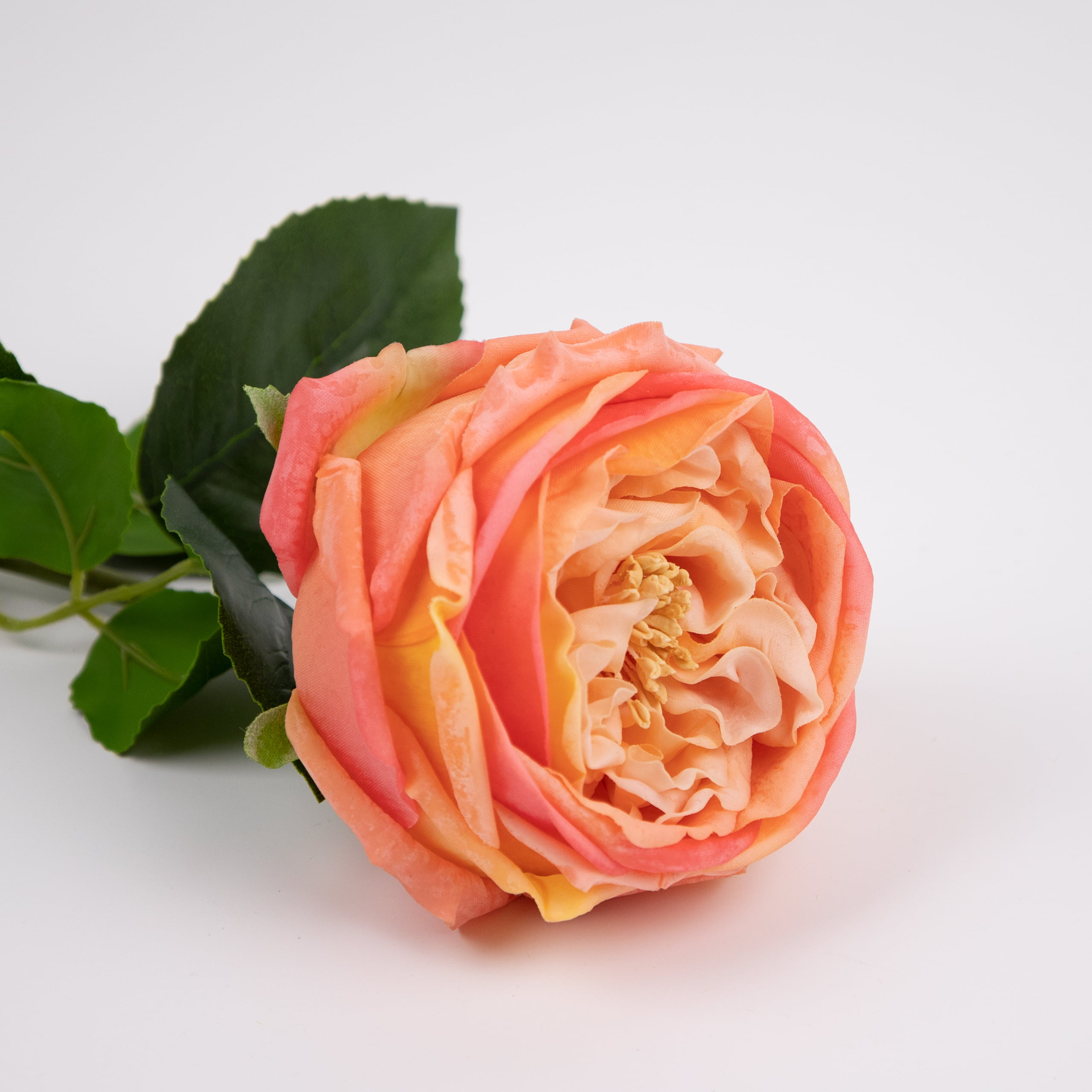 60cm Real-Touch Austin Rose Stem