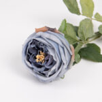 60cm Real-Touch Austin Rose Stem