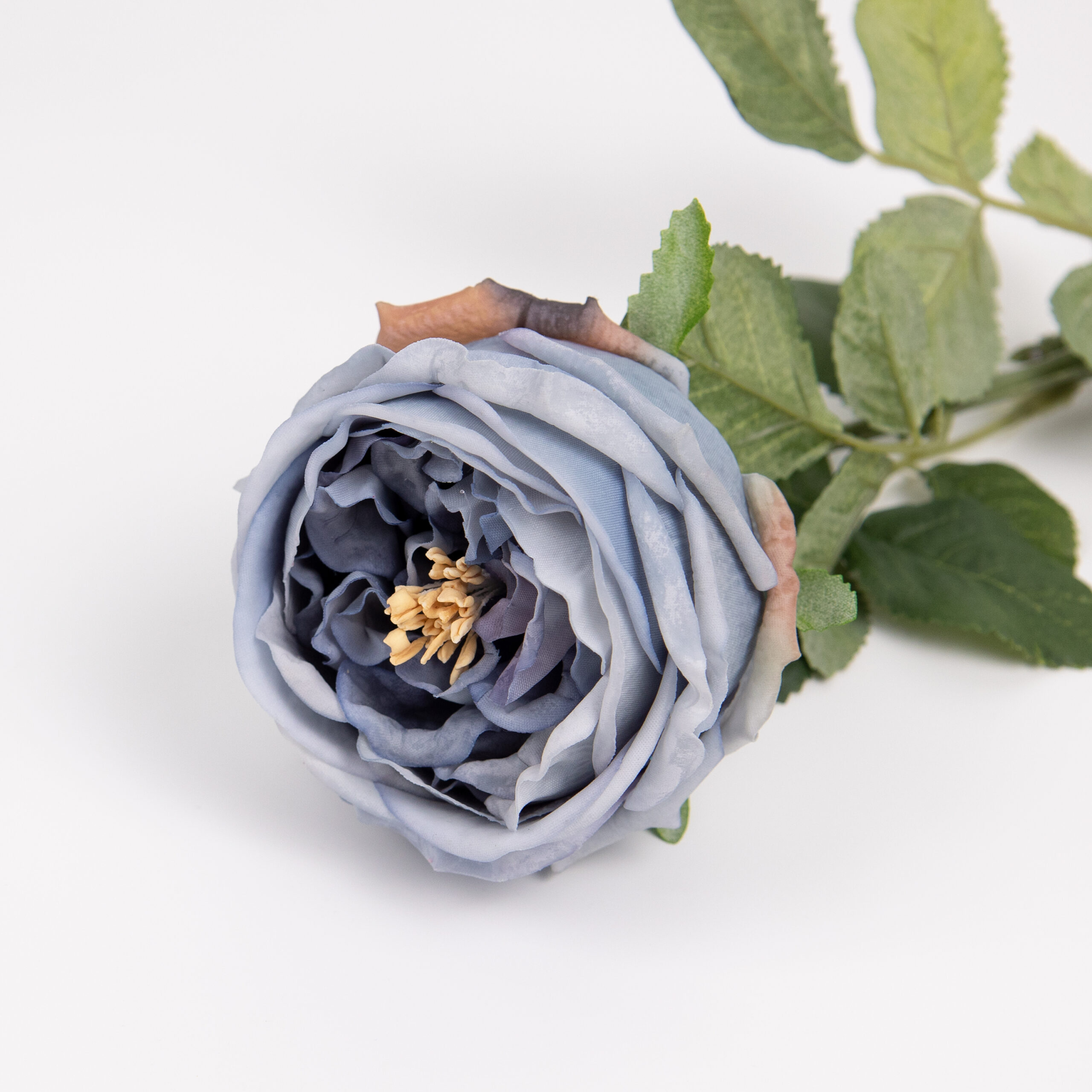 60cm Real-Touch Austin Rose Stem
