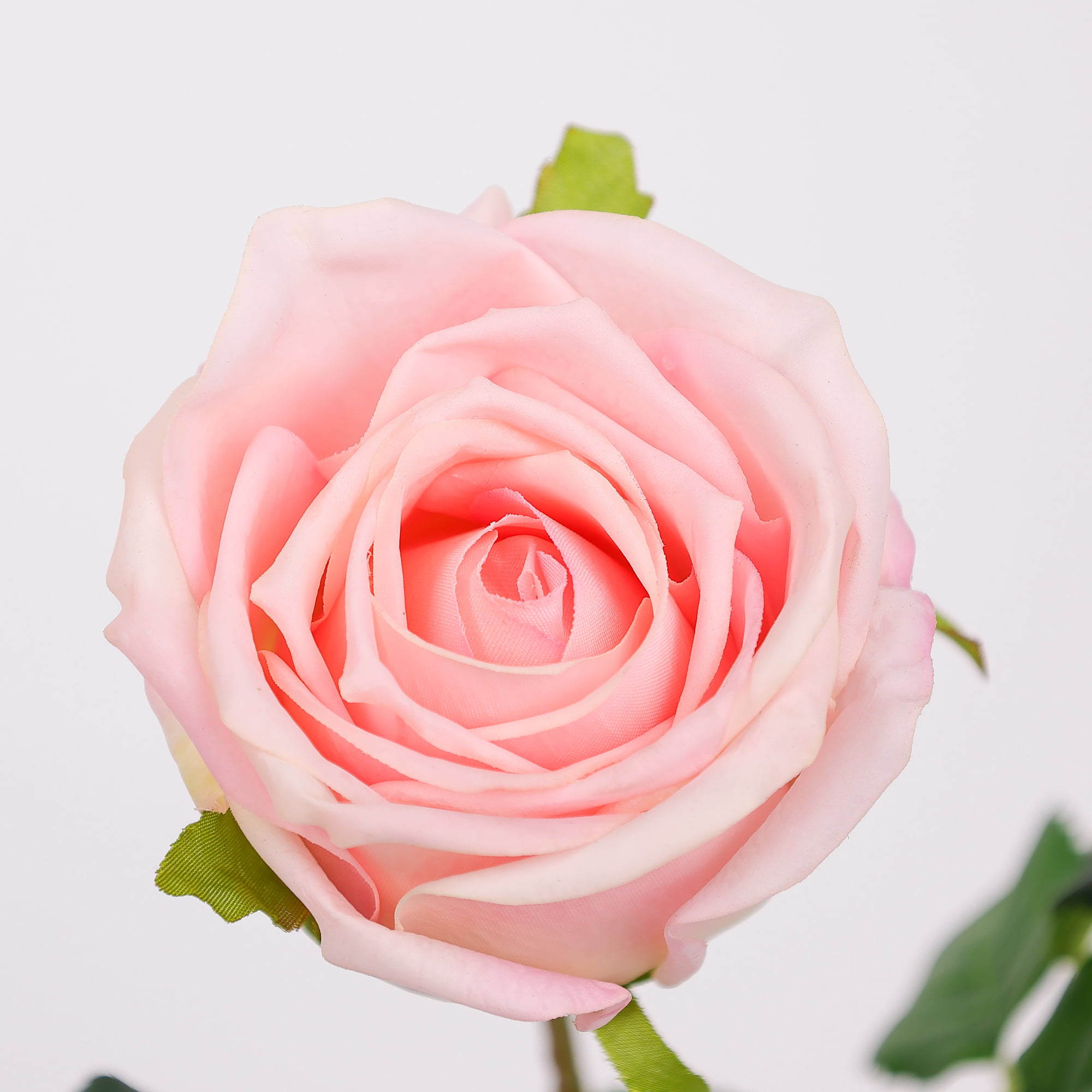 43cm Real-Touch Barbara Rose Stem