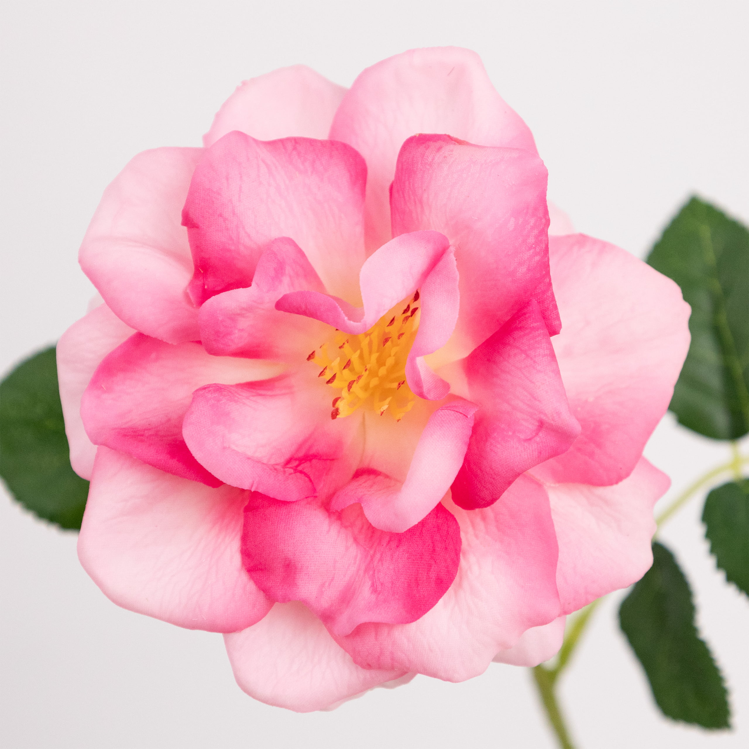 58cm Real-Touch Jasmine Rose Stem