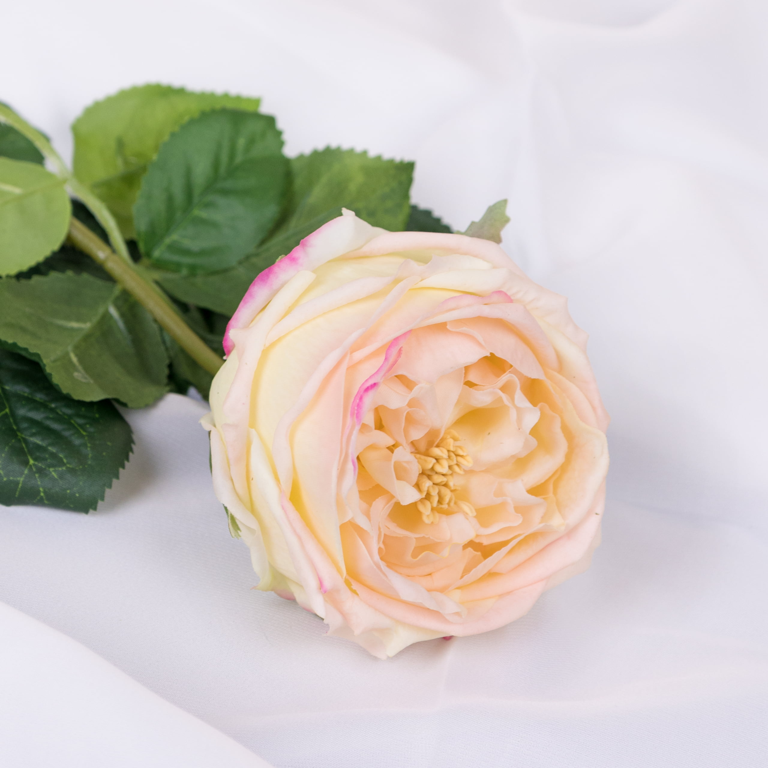 60cm Real-Touch Austin Rose Stem