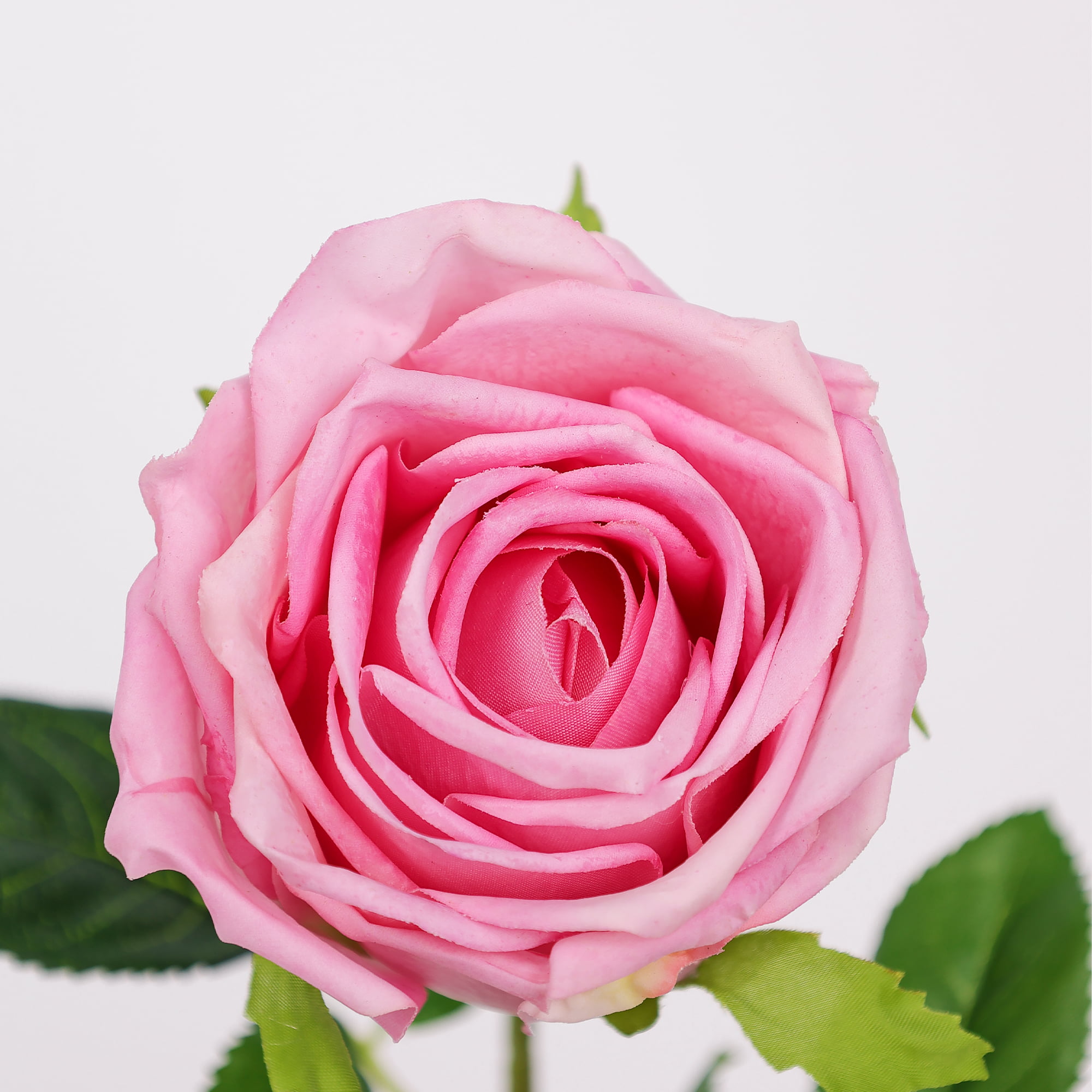 43cm Real-Touch Barbara Rose Stem