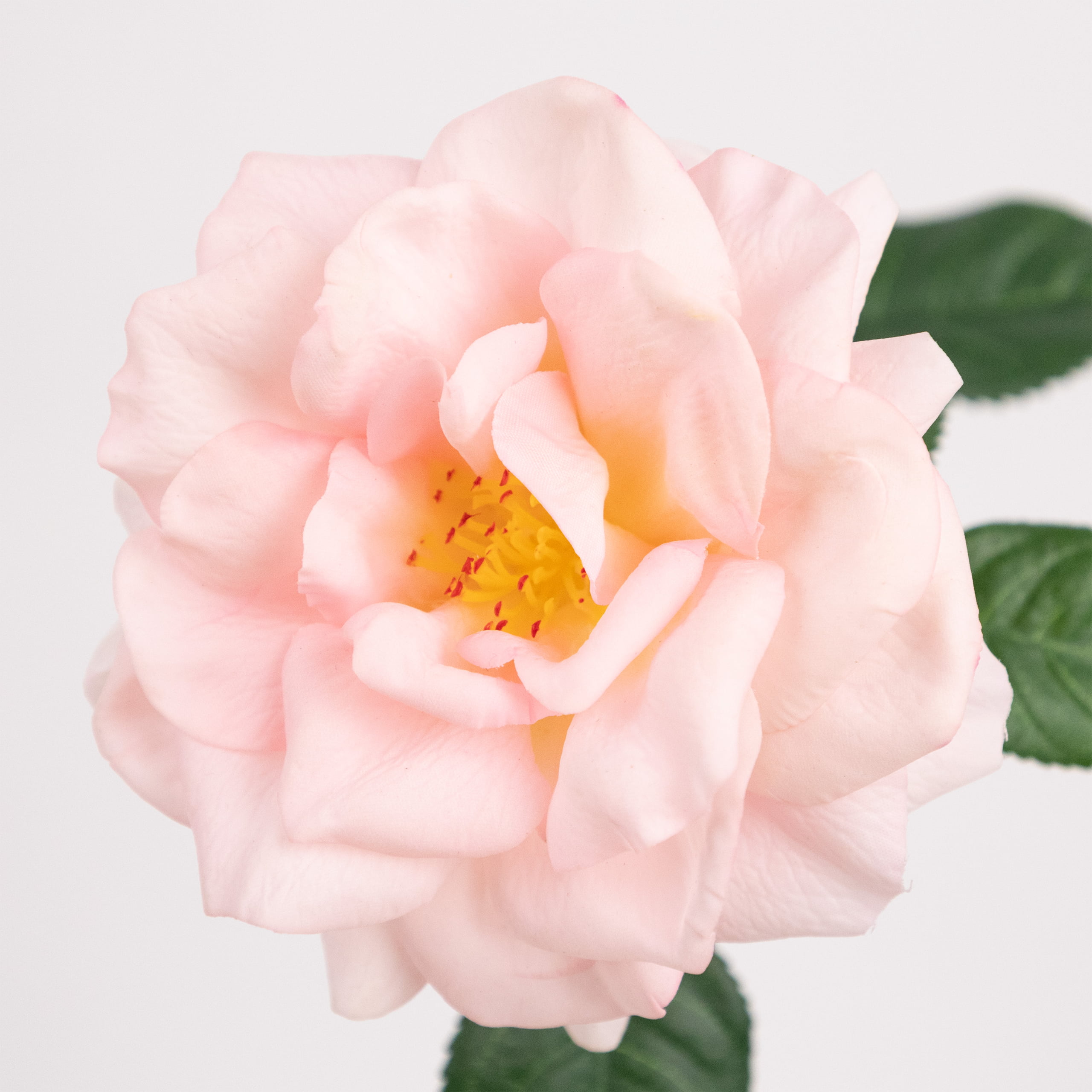 58cm Real-Touch Jasmine Rose Stem