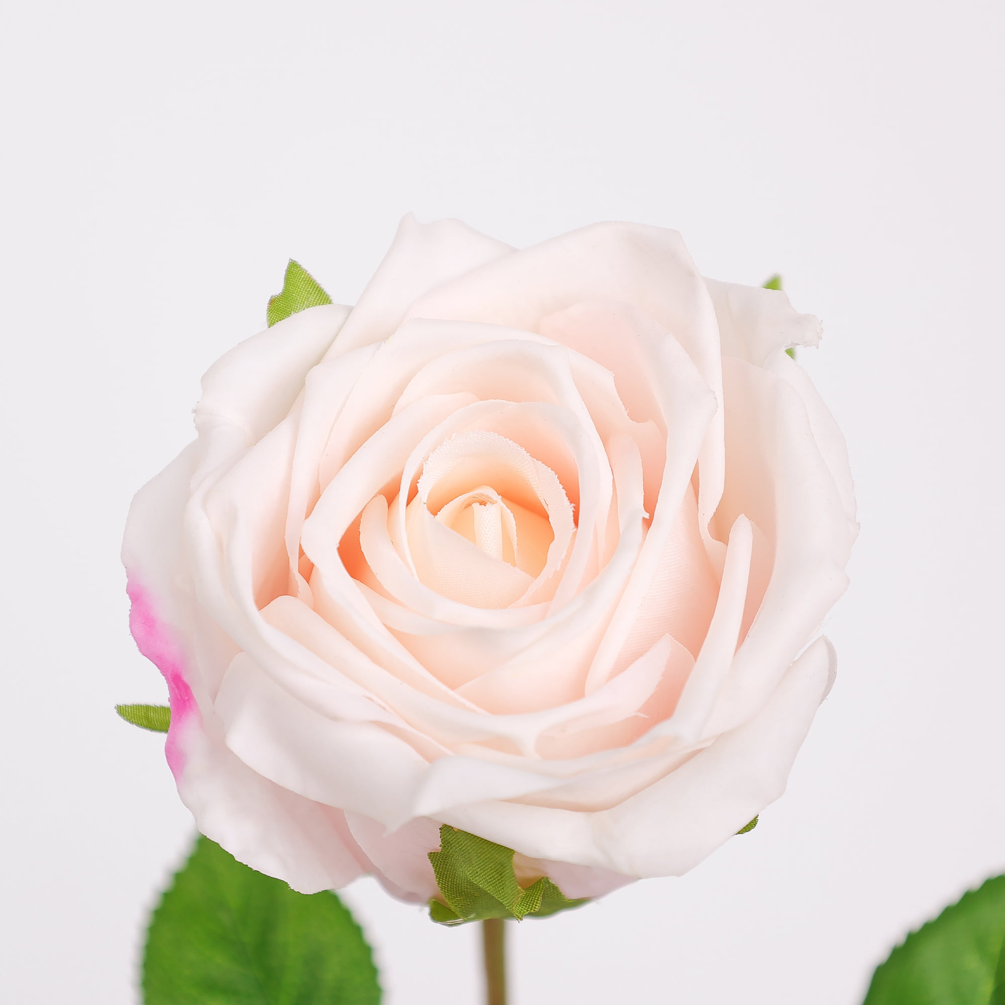 43cm Real-Touch Barbara Rose Stem