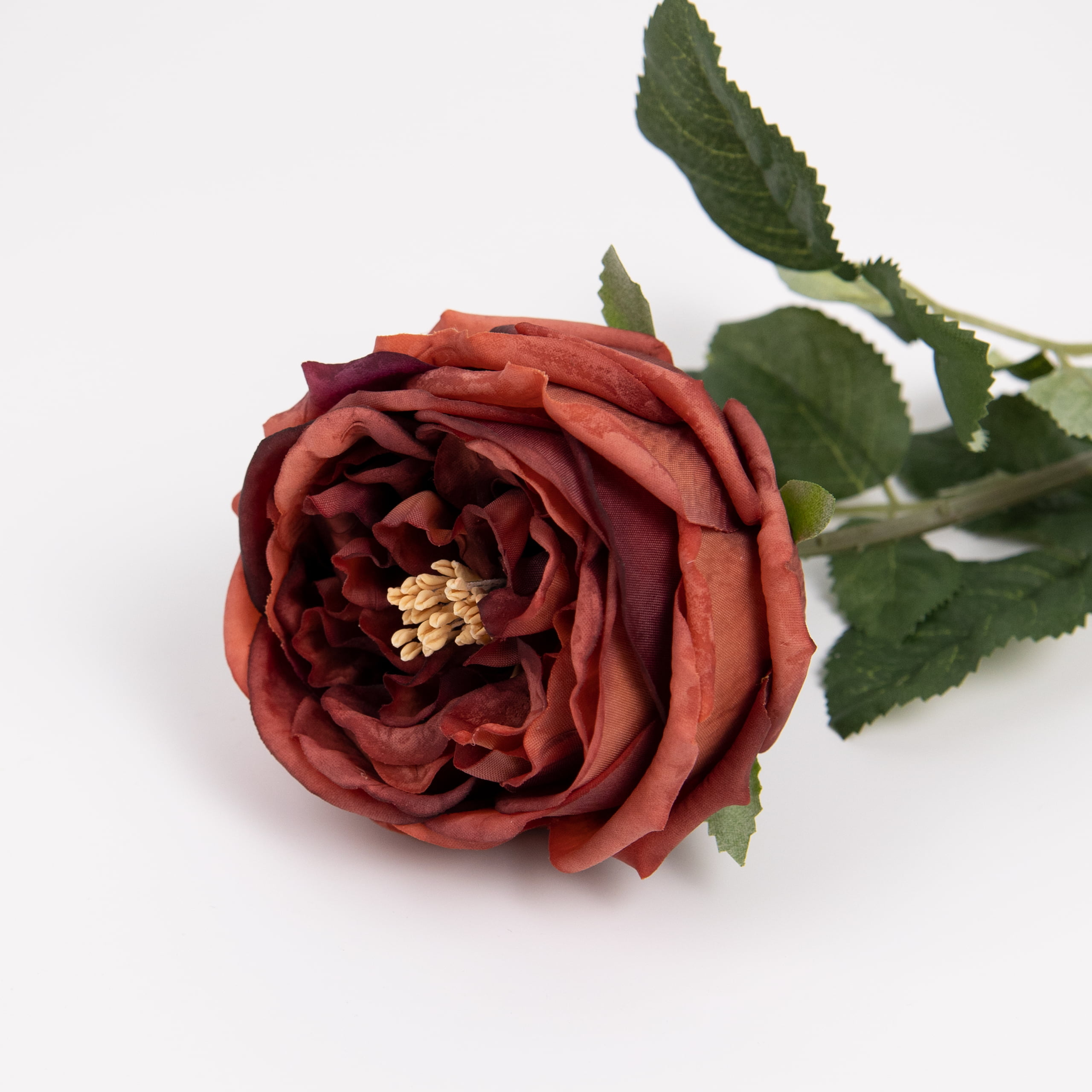 60cm Real-Touch Austin Rose Stem