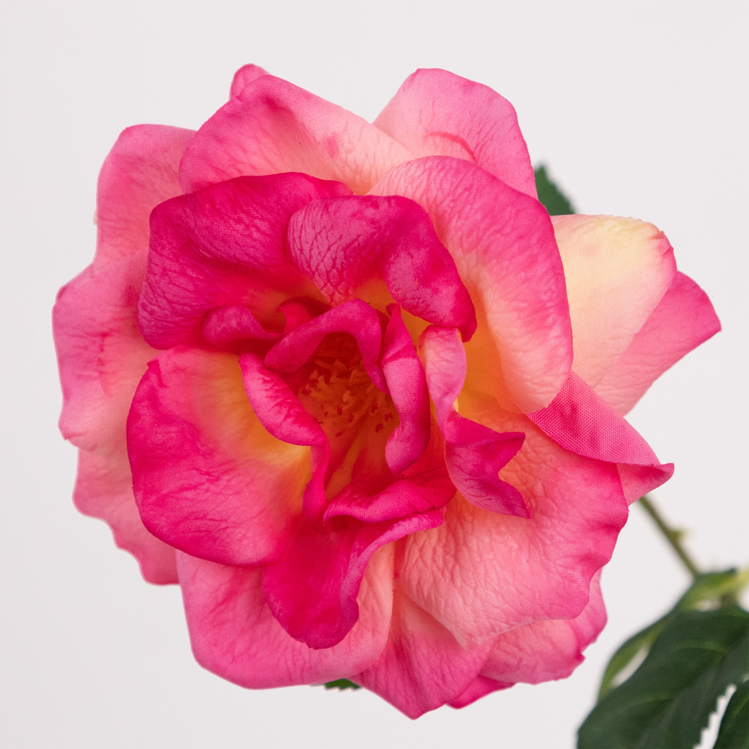 58cm Real-Touch Jasmine Rose Stem
