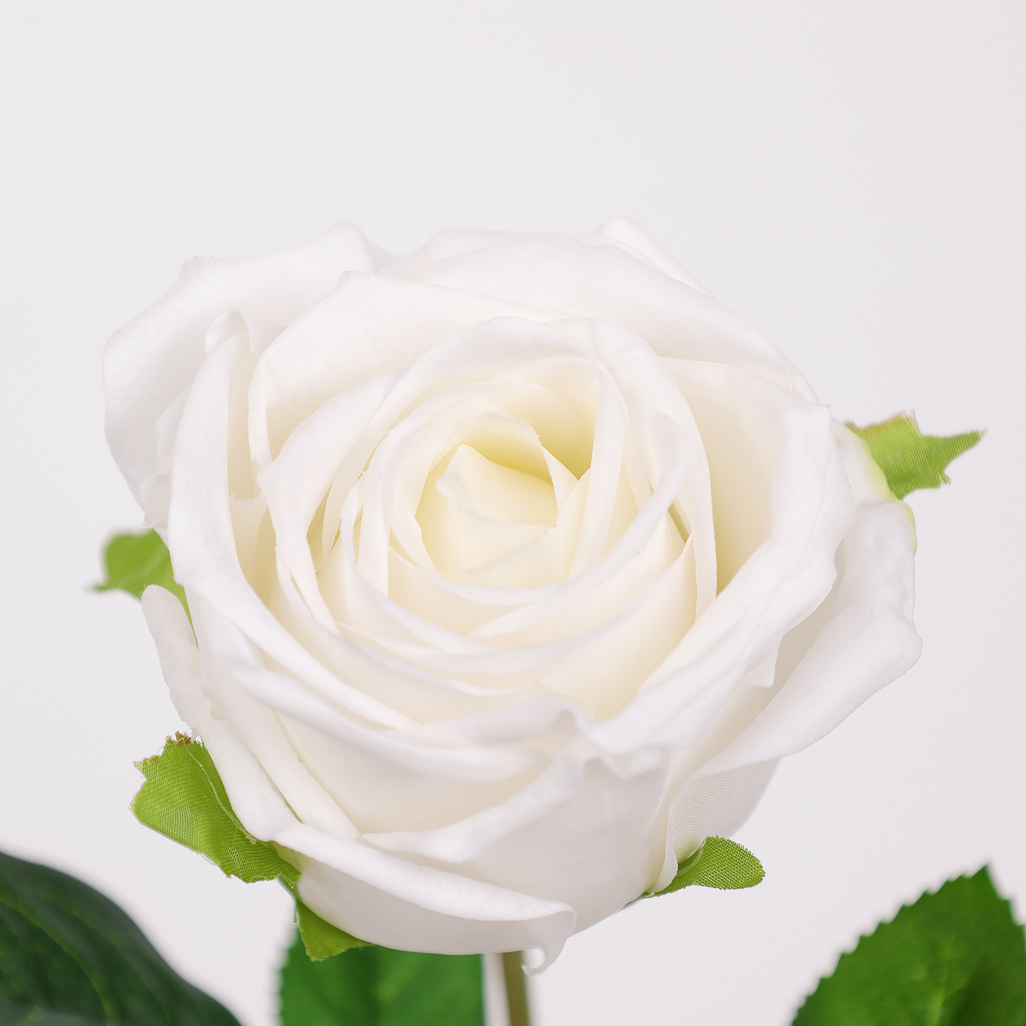 43cm Real-Touch Barbara Rose Stem