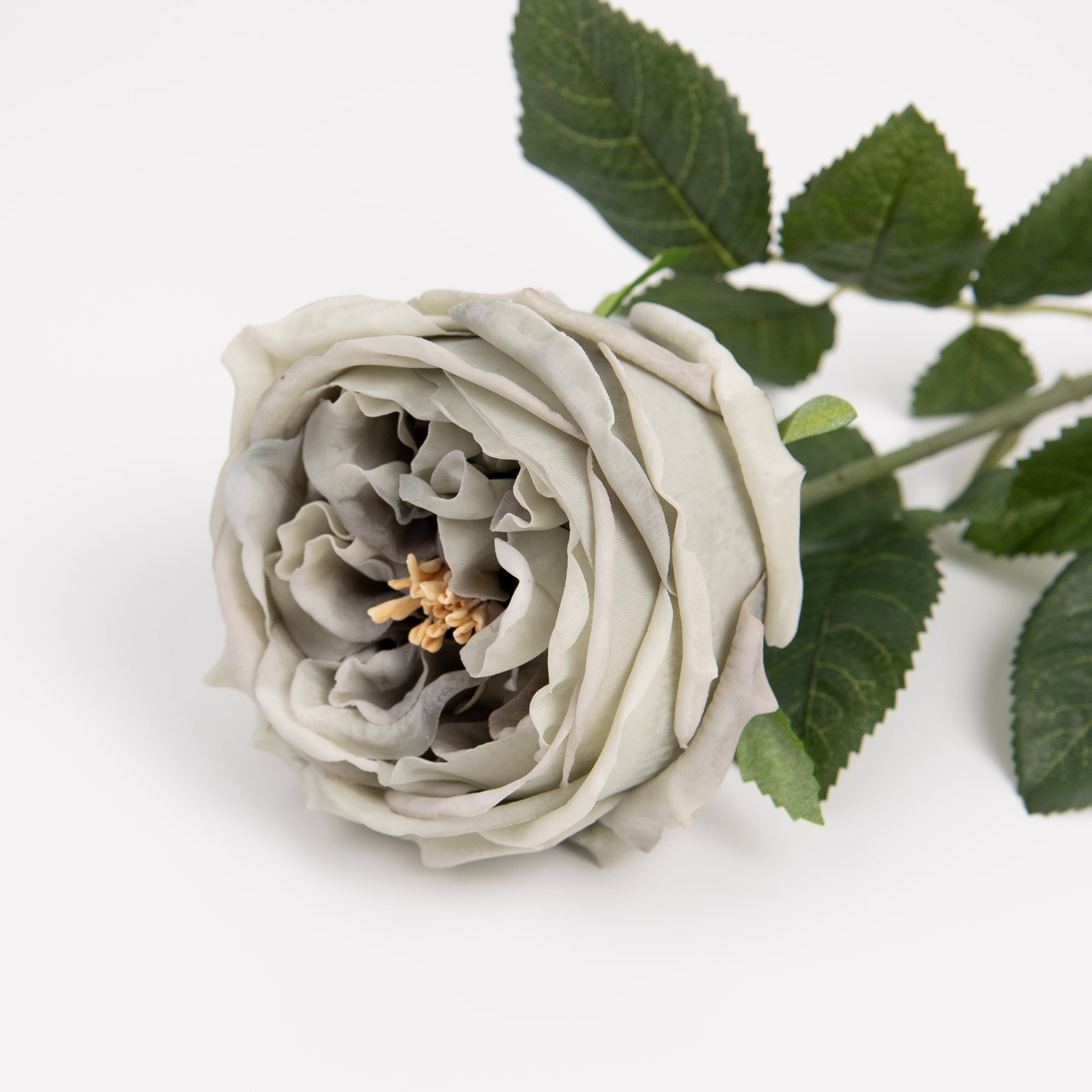 60cm Real-Touch Austin Rose Stem