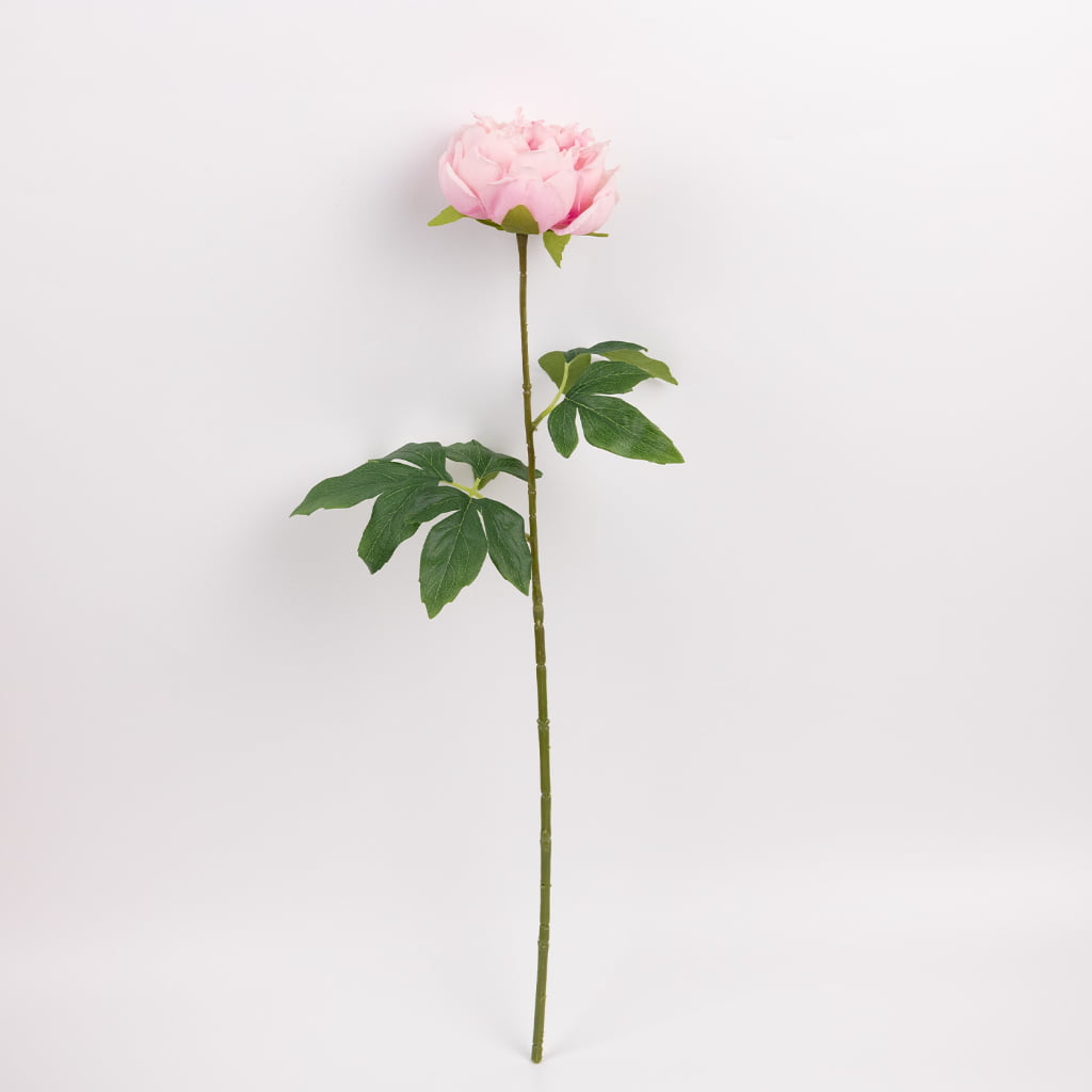 60cm Real-Touch Lydia Peony Stem