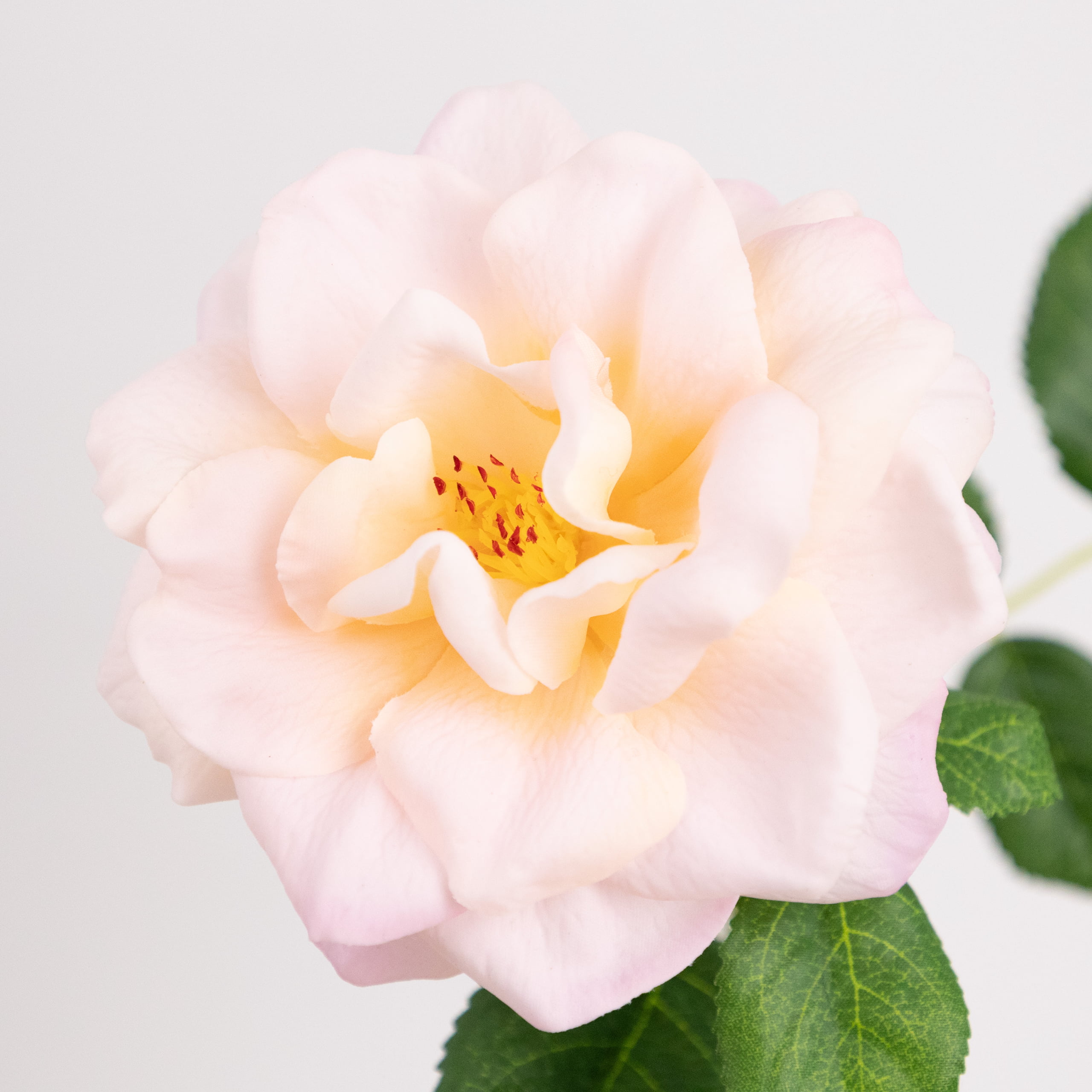 58cm Real-Touch Jasmine Rose Stem