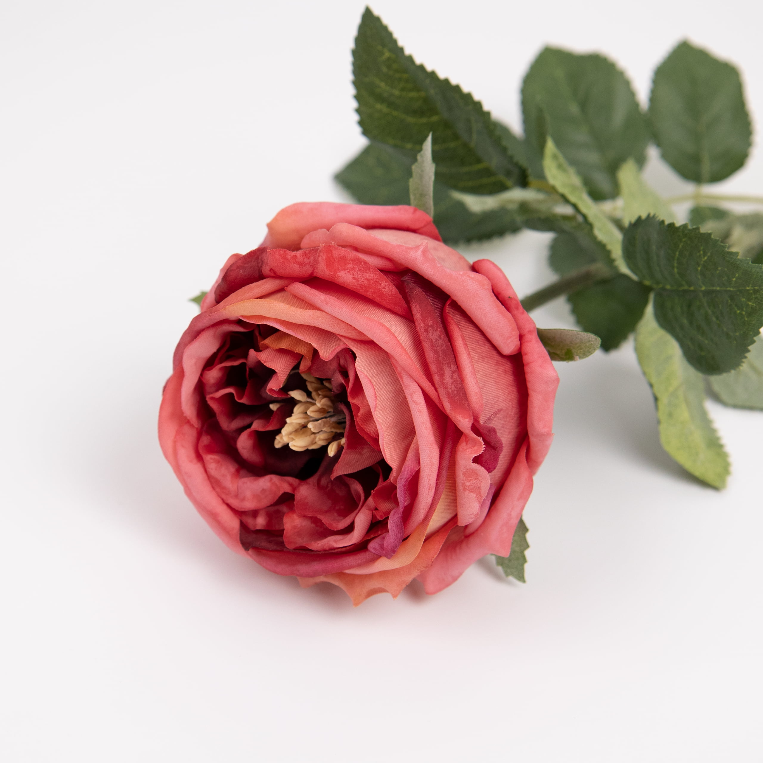 60cm Real-Touch Austin Rose Stem