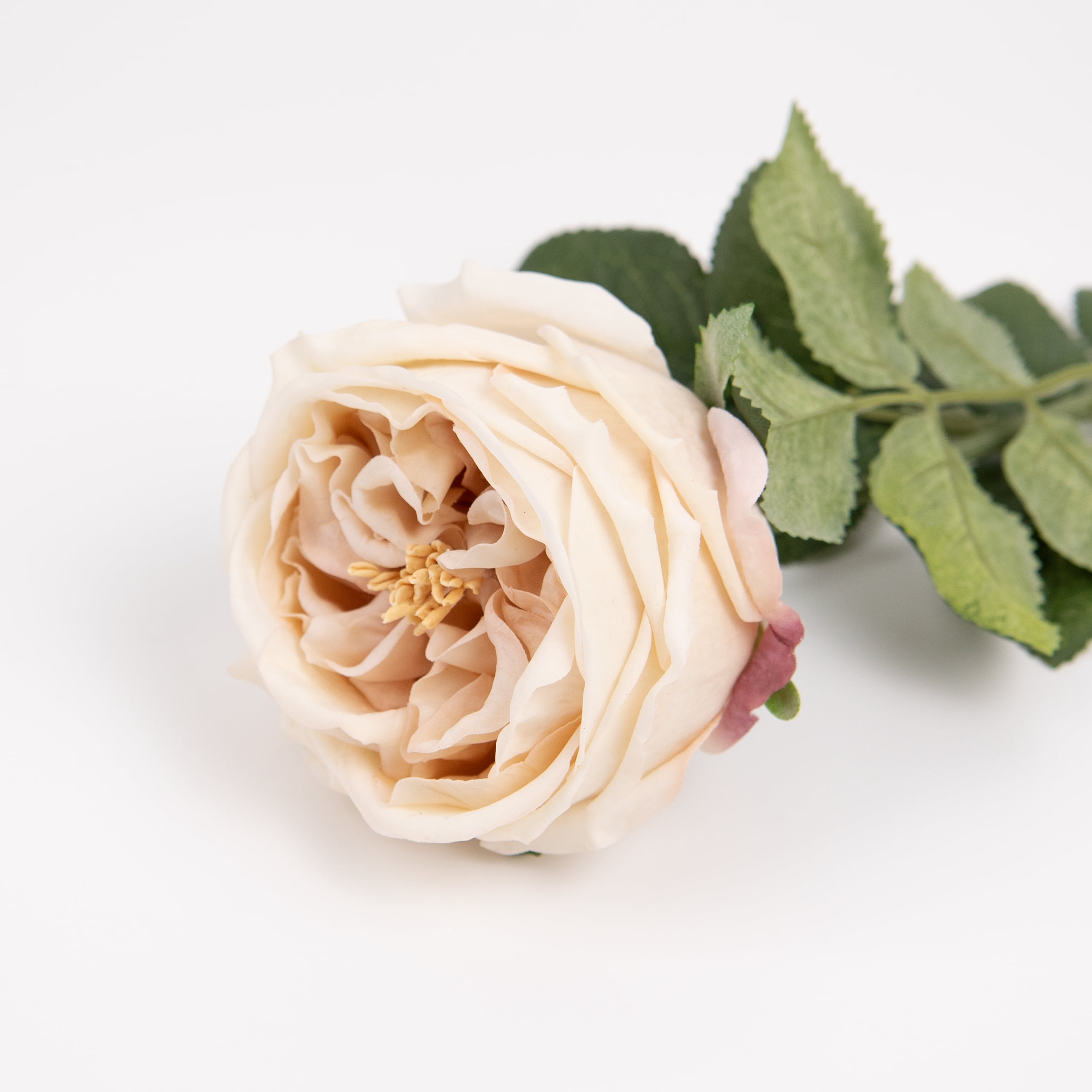 60cm Real-Touch Austin Rose Stem